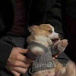 Avatar of Zubair Khalid